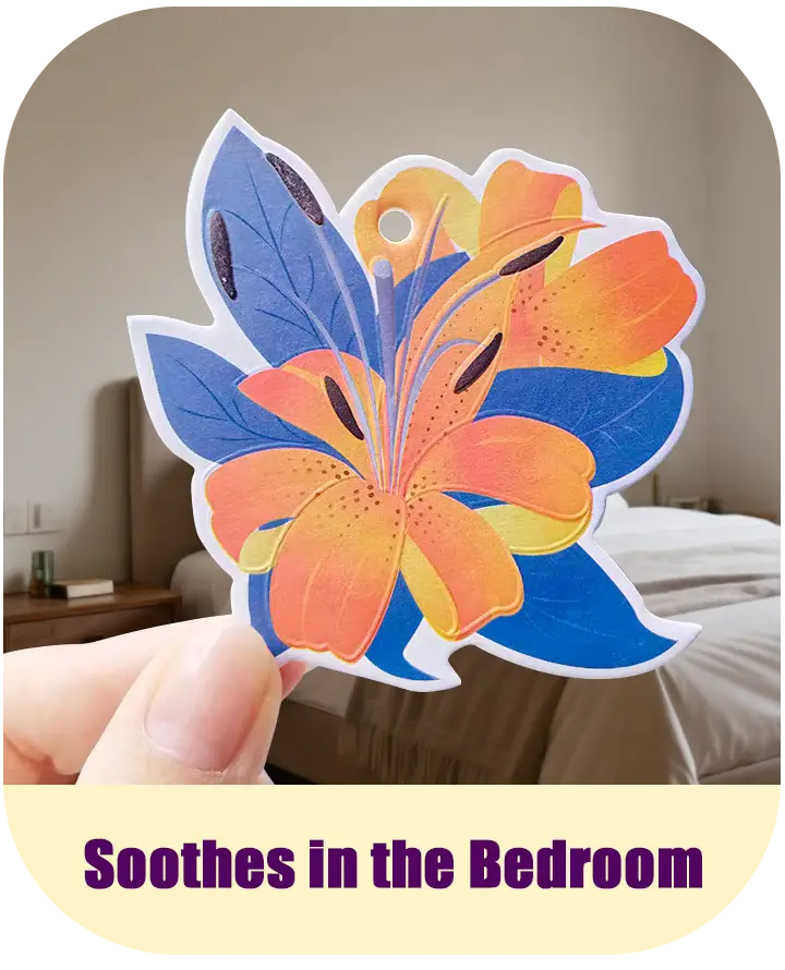 Custom scented air freshener used in bedroom and wardrobe for multi-scene fragrance