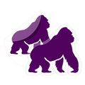 Custom Clear stickers